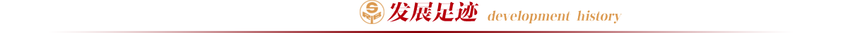 发展足迹