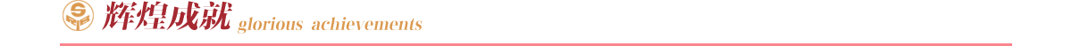 ${column.name}