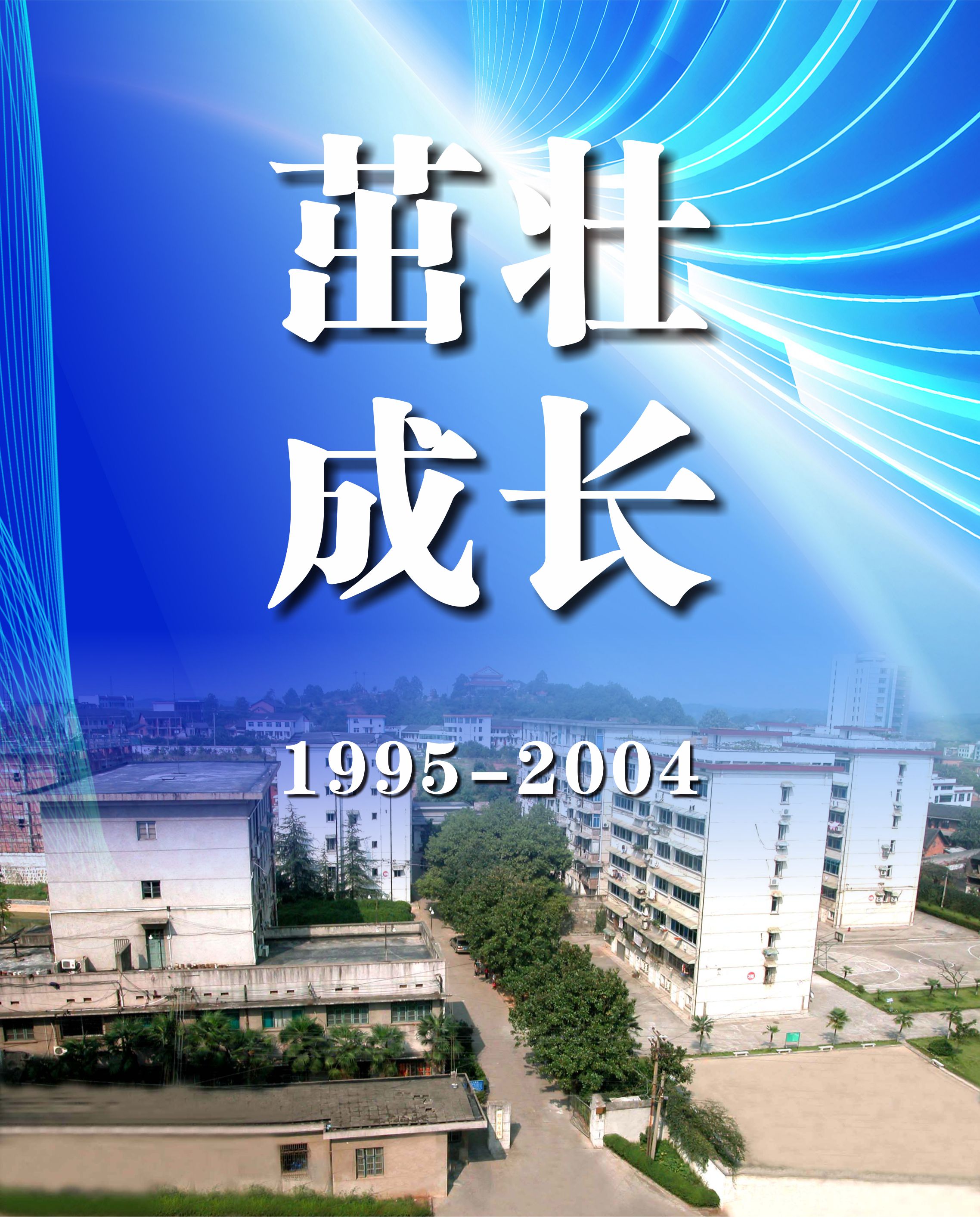 茁壮成长（1995年——2004年）