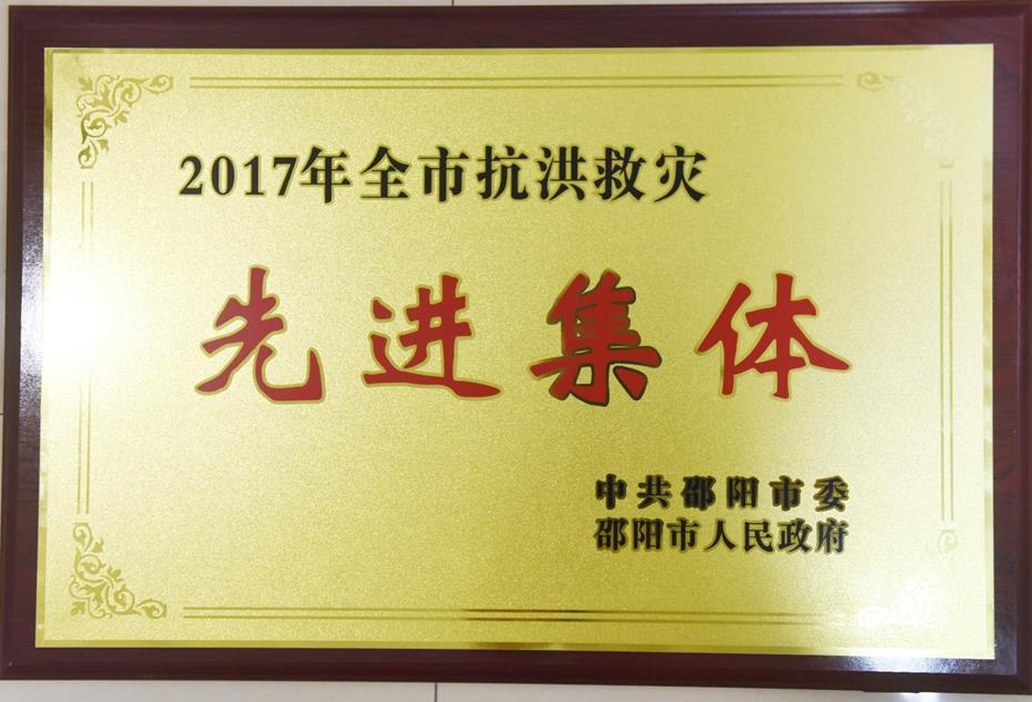 2017年度