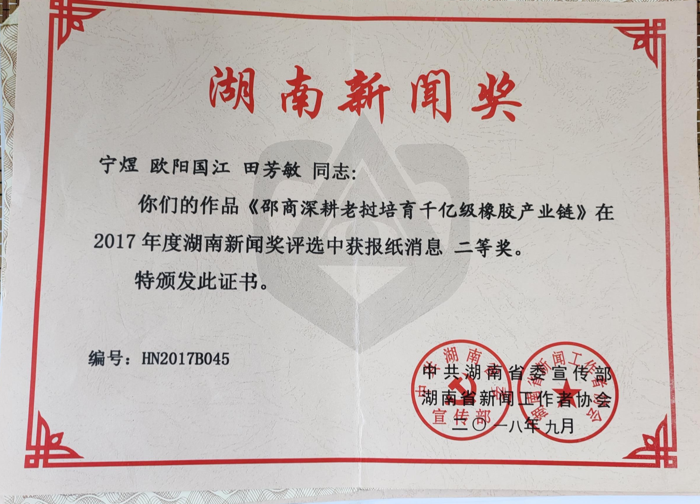 2017年度