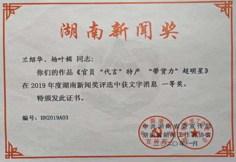 2019年度