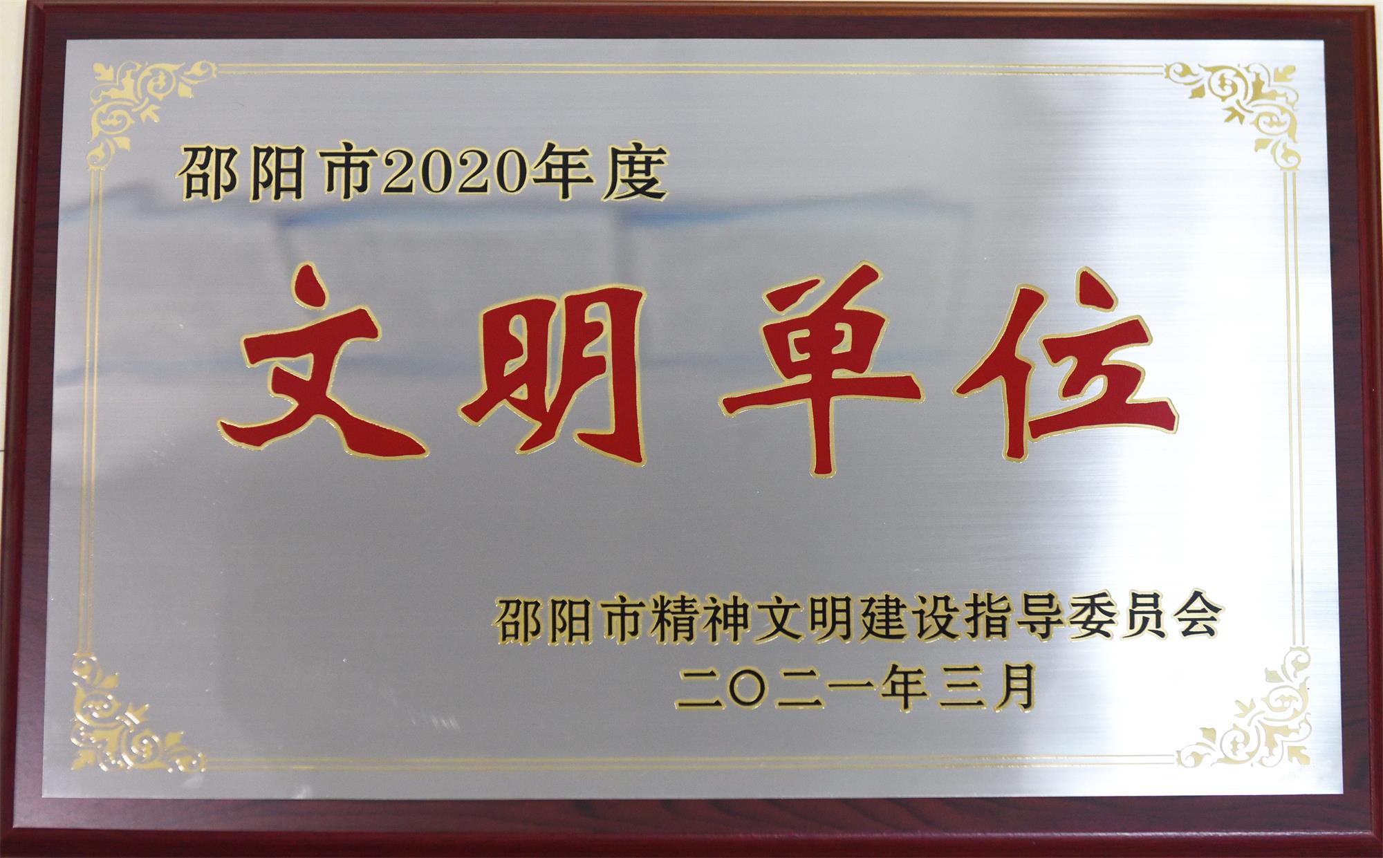 2020年度
